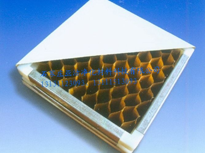 纸蜂窝净化板